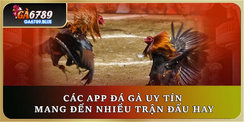 Các app đá gà uy tín mang đến nhiều trận đấu hay