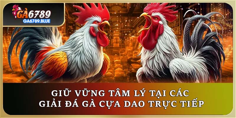 Giữ vững tâm lý tại các giải đá gà cựa dao trực tiếp