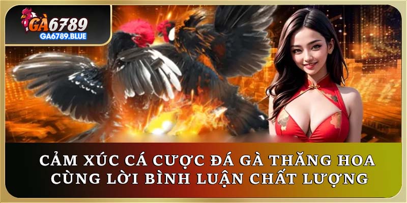 Cảm xúc cá cược đá gà thăng hoa cùng lời bình luận chất lượng