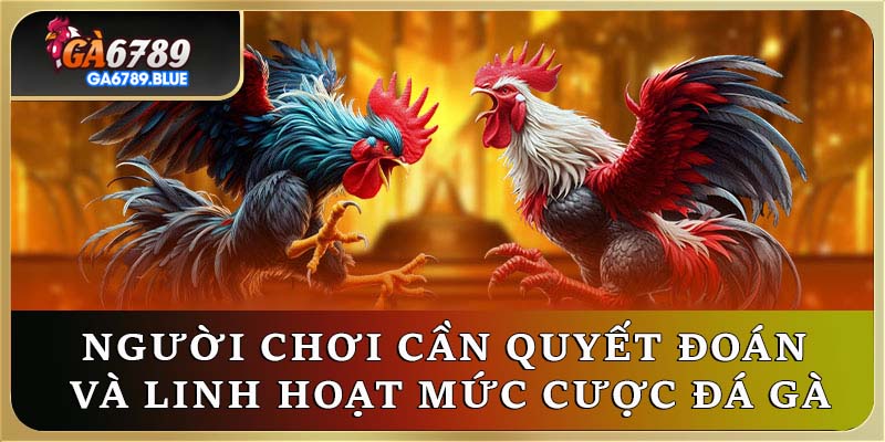 Người chơi cần quyết đoán và linh hoạt mức cược đá gà