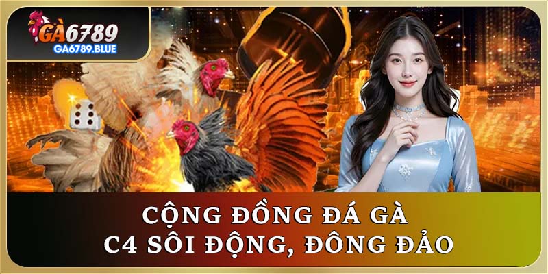 Cộng đồng đá gà C4 sôi động, đông đảo