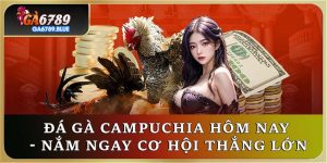 Theo Dõi Đá Gà Campuchia Hôm Nay - Nắm Ngay Cơ Hội Thắng Lớn