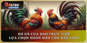 Đá Gà Cựa Dao Trực Tiếp - Lựa Chọn Hoàn Hảo Cho Dân Chơi