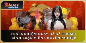 Trải Nghiệm Ngay Đá Gà Thomo Bình Luận Viên Chuyên Nghiệp