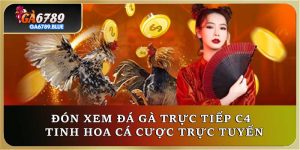 Đón Xem Đá Gà Trực Tiếp C4 - Tinh Hoa Cá Cược Trực Tuyến