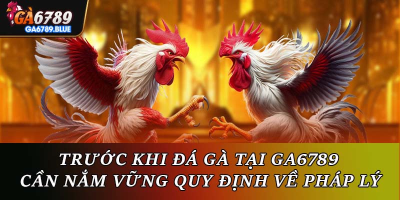 Trước khi đá gà tại Ga6789 cần nắm vững quy định về pháp lý