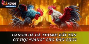 Ga6789 Đá Gà Thomo Bất Tận - Cơ Hội “Vàng” Cho Dân Chơi