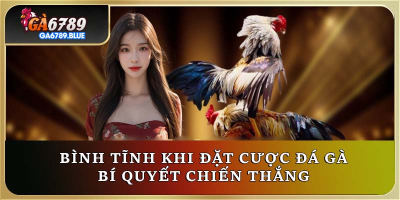 Bình tĩnh khi đặt cược đá gà - Bí quyết chiến thắng