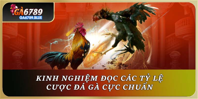 Kinh nghiệm đọc các tỷ lệ cược đá gà cực chuẩn