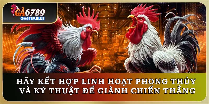 Hãy kết hợp linh hoạt phong thủy và kỹ thuật để giành chiến thắng