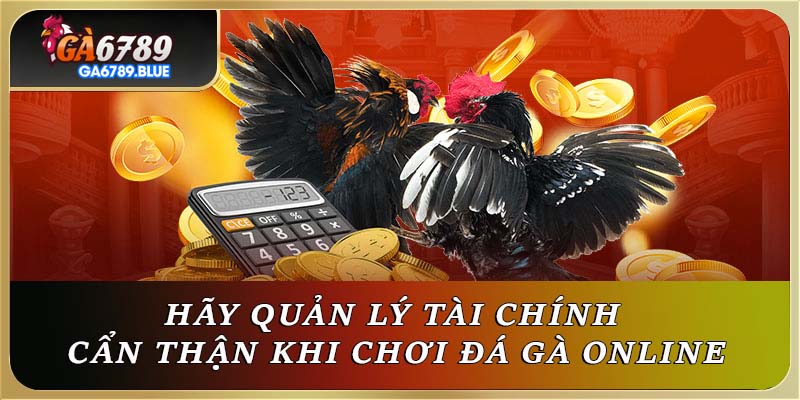 Hãy quản lý tài chính cẩn thận khi chơi đá gà online