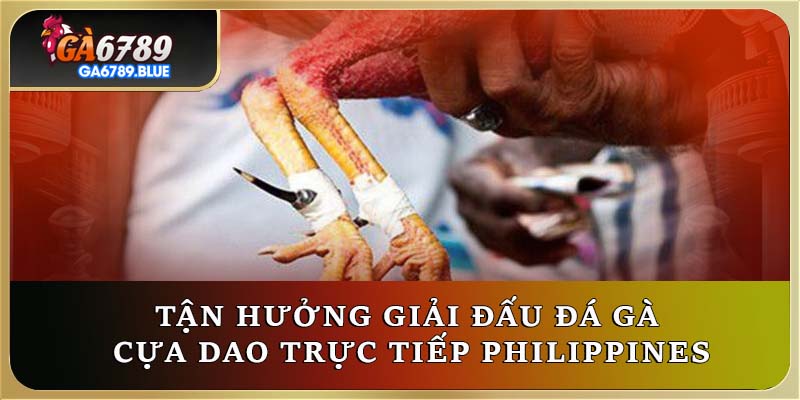 Tận hưởng giải đấu đá gà cựa dao trực tiếp Philippines