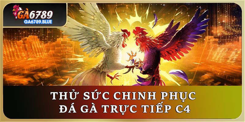 Thử sức chinh phục đá gà trực tiếp C4