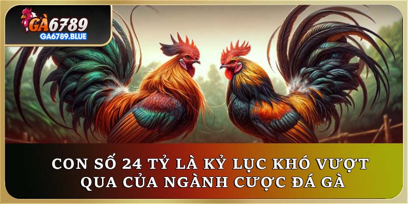 Con số 24 tỷ là kỷ lục khó vượt qua của ngành cược đá gà