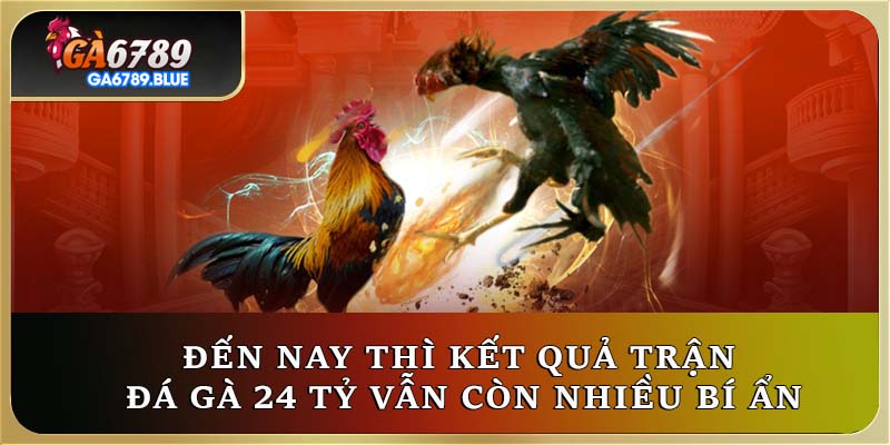 Đến nay thì kết quả trận đá gà 24 tỷ vẫn còn nhiều bí ẩn