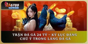 Trận Đá Gà 24 Tỷ – Kỷ Lục Đáng Chú Ý Trong Làng Đá Gà