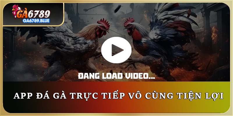 App đá gà trực tiếp vô cùng tiện lợi